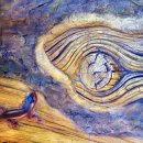 쇠평어린이공원 이미지