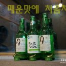 용두동신 쭈꾸미