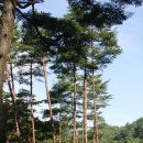 수하골(2) 세계일보