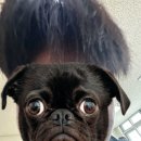 주렴요셉 이미지