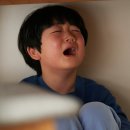 그린독 이미지