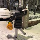 굽은다리역 | 강동구 족발 맛집 추천 가장 맛있는 족발 굽은다리역점 후기