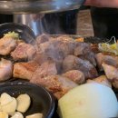 조연탄 기다리면 돼지 이미지