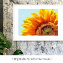 모카카 네이버블로그