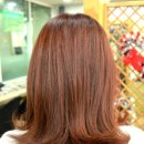 미용그룹세종올림픽