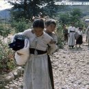 1954년 한국전쟁 후 대구모습(bgm有).... 이미지