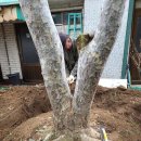 백송농장 이미지