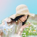 벗님들 Daum카페