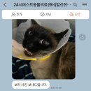 24시퍼스트동물의료센터 이미지