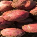 천기농장 이미지