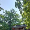 신원면-38 이미지