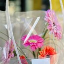 양원꽃집 이미지