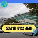 더조은약국 | 남미 여행 준비 예방접종 황열병 병원 보건소 의료원 총정리