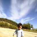 똘똘이 목장 이미지