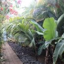 트로피칼 이미지