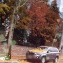 은행나무약국 이미지