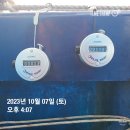 231007(토) 오천항 랜드마크호 주꾸미&amp;갑오징어 낚시 다녀왔어요.