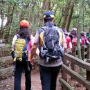 영천동-1 이미지