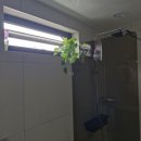 더조은관광 이미지