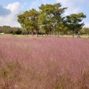 남해멧돌순두부 이미지