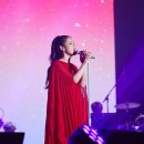 주고코리아 이미지