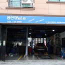 하이카동백점 이미지