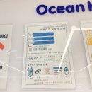 오션키즈 동대문센터 | 오션키즈 동대문 장안동 어린이 수영장 강습 6개월 후기