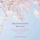 오늘;제주