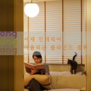 라인인테리어 | 서재 인테리어 타공블라인드, 라인블라인드 종류 설치 후기