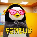 플렉스짐 야당점 이미지