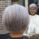 헤어로 - 전주시 덕진구 | 고잉그레이 염색 과정, 새치염색 졸업하고 자연스러운 실버 헤어로 변신한 후기