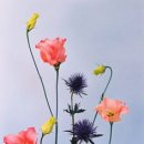 더존상사 이미지