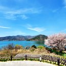 운문가는길 이미지