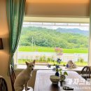 스테이 만천 이미지