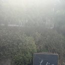 수원-0798 | 로우파이브 수원맛집 행궁동 데이트맛집 옥수수피자 평일웨이팅후기 행궁동맛집