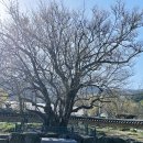 달전시목지 이미지