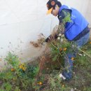 은빛빌리지 이미지