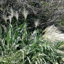 둥구리마을 이미지