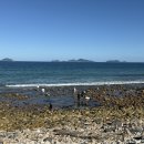 카멜리아민박 이미지