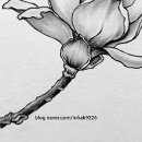 연필스케치와 꽃그림 이미지