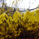 진해구 ⓒ-28 이미지