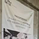 보사노바로스팅팩토리