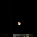 서초대로54길 11 이미지