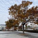 부산대학교 행정대학원 이미지