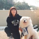 예일힐링스포츠 | 강아지 커플룩 추천 예일 핸친소 커플후드티 취향저격