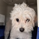 동신대 한방병원 이미지