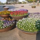 삼부르네상스오피스텔 이미지