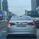 동가골 | 2023년 여름기록 1.