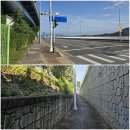 낙동강변로L2-40 | 구미 당산(83.0m) 산행 및 비산나루터 &amp; 구미다온숲 수국명소 탐방