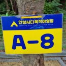 용설호수길 이미지